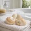 Schnecke Mattukan 1 kg, 2–5 cm, ca. 150 Stück, Natica Produktbild-Vorschau 5