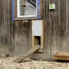 Kerbl Porte automatique pour poules Voir les images du produit 2