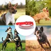 Hundehalsband mit glänzenden Strasssteinen und Diamanten, Produktbild-Vorschau 5