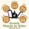 A plant lamp is shown in the center, surrounded by icons representing different locations where it can be used, such as a living room, basement, garage, greenhouse, and staircase. The text "Gesunde Pflanzen im Winter funktioniert überall" (Healthy plants i Produktbild-Vorschau