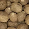 Gałka muszkatołowa cała 50g Brat.pl Podgląd zdjęcia produktu 3