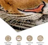 MuchoWow® Poster Tiger - Tiere - Kopf 120x160 cm - Produktbild-Vorschau 2