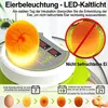 Brutautomat für 8 Eier, automatischer Produktbild-Vorschau 2