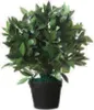 PAPERFLOW PALAU50 Plante artificielle Laurier 50 cm Voir les images du produit 2