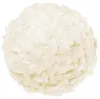 Ferrero Raffaello, biscotto, pallina di cocco, pallina di Anteprima dell’immagine prodotto 7