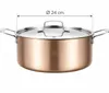 Braadpan 24 cm met deksel – Drielaags roestvrij staal 18/10 Productafbeelding-voorbeeld 2