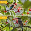 Extra sterk vogelbeschermnet voor tuinen en groenten Productafbeelding-voorbeeld 3