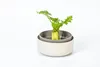 Plastia Urbalive Hydrokultur-Schale Regrow, Elfenbein Produktbild-Vorschau 18