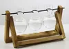 Pflanzenvasen, Terrarium-Stecklinge – Holzhalter mit Glas – Produktbild-Vorschau 13