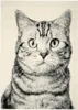 Tapis Cat grey, 160 x 230 cm Voir les images du produit 1