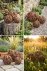 Boule De Jardin Grande Lampe Décorative Boules De Jardin Voir les images du produit 12