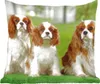 MuchoWow® Zierkissen Sofakissen Wohnzimmer Dekokissen 60x60 Produktbild-Vorschau 1