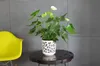 Lamela planter DUET w/cream+v/anthracite Ø 190 mm 200 mm Voir les images du produit 3