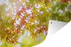 MuchoWow® Produktbild-Vorschau 1