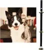 Hundetrainingsglocken, Hundetürklingeln für Produktbild-Vorschau 5