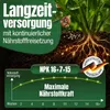 Heckenretter Heckendünger Dünger für grüne Hecken Turbo Produktbild-Vorschau 5