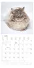 A calendar page with a cat image at the top and a monthly calendar grid below. Produktbild-Vorschau