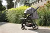 Kidnort Wózek spacerowy Sjölejon Szary melanż Podgląd zdjęcia produktu 26