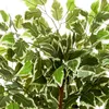 hjh OFFICE Umělá rostlina FICUS Umělá rostlina břízy Výška Náhled obrázku produktu 2