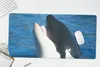 MuchoWow® Schreibtischunterlage Orca nahe der Produktbild-Vorschau 5