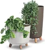 Prosperplast s.r.o. GRACIA TUBUS ECO WOOD 29,8 cm, blanc Voir les images du produit 2