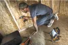Worx WX026.9 Lampe de chantier sans fil 20 V - sans Voir les images du produit 4