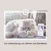 Ergänzungsfuttermittel für Katzen dental zur Unterstützung Produktbild-Vorschau 2