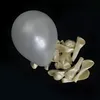 Białe perłowe balony 10 sztuk – 27 cm balony lateksowe i Podgląd zdjęcia produktu 10