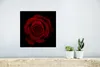 MuchoWow® Poster Rosa - Rot - Schwarz 30x30 cm - Wandposter Produktbild-Vorschau 5
