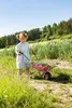 Rolly Toys Kinderschubkarre Metallschubkarre pink, Náhľad obrázku produktu 2