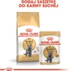 A bag of Royal Canin British Shorthair dry cat food and a pouch of Royal Canin British Shorthair wet cat food are displayed side-by-side on a white background. Produktbild-Vorschau