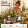 Pflanztopf Fiona Taupe Ø 30cm - Frostsicher & UV-Beständig Produktbild-Vorschau 4