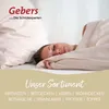 Künsemüller Holstein Daunen Doppelkammer Kopfkissen 40 x 80 Produktbild-Vorschau 8