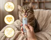 Friandise pour chat Lick & Purr – Soft Chicken Dream Mersjo Voir les images du produit 3