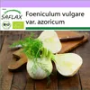 SAFLAX - BIO - Cibulka fenyklu - Foeniculum vulgare var. Náhled obrázku produktu 10
