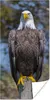 MuchoWow® Poster Ein Weißkopfseeadler sitzt auf einem Produktbild-Vorschau 1