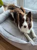 Orthopädisches Hundebett XXL personalisiert mit Namen Produktbild-Vorschau 2