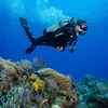Scubapro potápěčská ploutev Seawing Nova, barva:žlutá, Náhled obrázku produktu 22