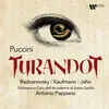 Turandot Anteprima dell’immagine prodotto 1