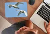 MuchoWow® Mauspad Mousepad Schwan - Vogel - Himmel - Blau Produktbild-Vorschau 3