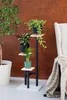 A multi-tiered plant stand with three potted plants is placed next to a chair with a blanket draped over it, against a textured brown wall. Náhled obrázku produktu