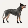 Scarpe per cani Goo-eez Monochromez nero, taglia: XS Anteprima dell’immagine prodotto 4