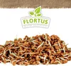 Keimsprossen Bockshornklee (200 g) |Keimsprossen von Produktbild-Vorschau 5