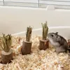 3 Stück Kaninchen-Spielzeug, Hasen-Kauspielzeug Für Zähne, Produktbild-Vorschau 3
