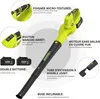 DEWINNER Souffleur de Feuilles sans Fil, 2 Batteries 4.0Ah, Voir les images du produit 2
