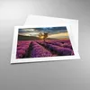 Poster - Poster ohne Rahmen - Lavendel Berge Feld - 50x40 Produktbild-Vorschau 3
