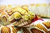 A close-up of a stuffed snake toy. Produktbild-Vorschau