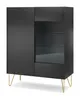 A modern black display cabinet with glass doors and gold legs, shown against a white background. Podgląd zdjęcia produktu