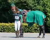 QHP Q-Cross Eventing Gamaschen hinten Produktbild-Vorschau 2