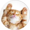 Popsockets 2 Snoozy Cat 70072 Telefonhalterung und Ständer Produktbild-Vorschau 2